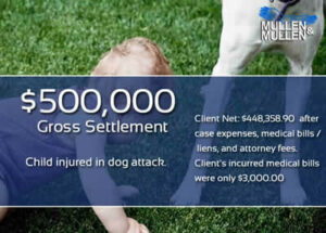 $500,000 Settlement for Child Attacked by Dog