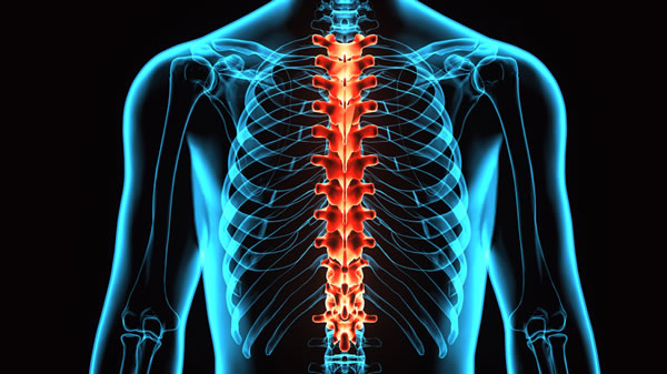 Spine Injury Settlements by Mullen & Mullen Law Firm