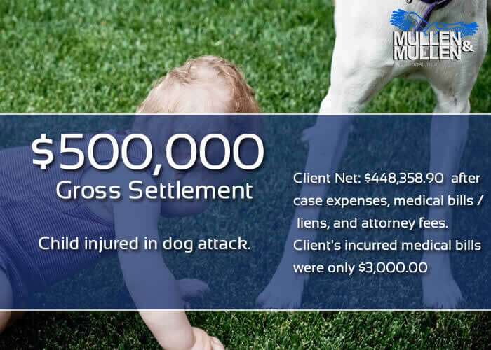 $500,000 Settlement for Child Attacked by Dog